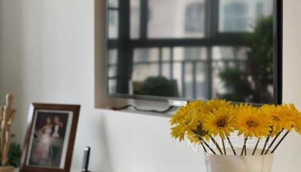 110㎡/兩室兩廳兩衛(wèi)/田園