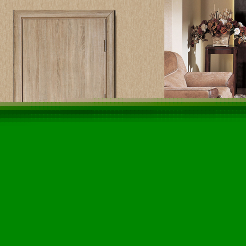 天安木門(mén)尼諾系列N-10